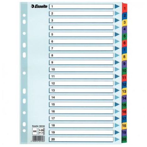 Przekładki Esselte A4 Mylar 1-20